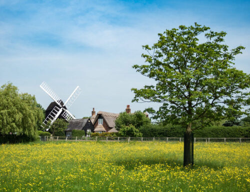 Cambridgeshire Case Study – A Long Term Project